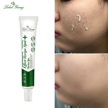 [K-beauty] Labelyoung Shocking Effect Recipe Spot Tea tree Ver.