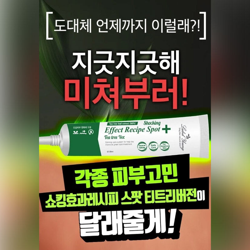 [K-beauty] Labelyoung Shocking Effect Recipe Spot Tea tree Ver.