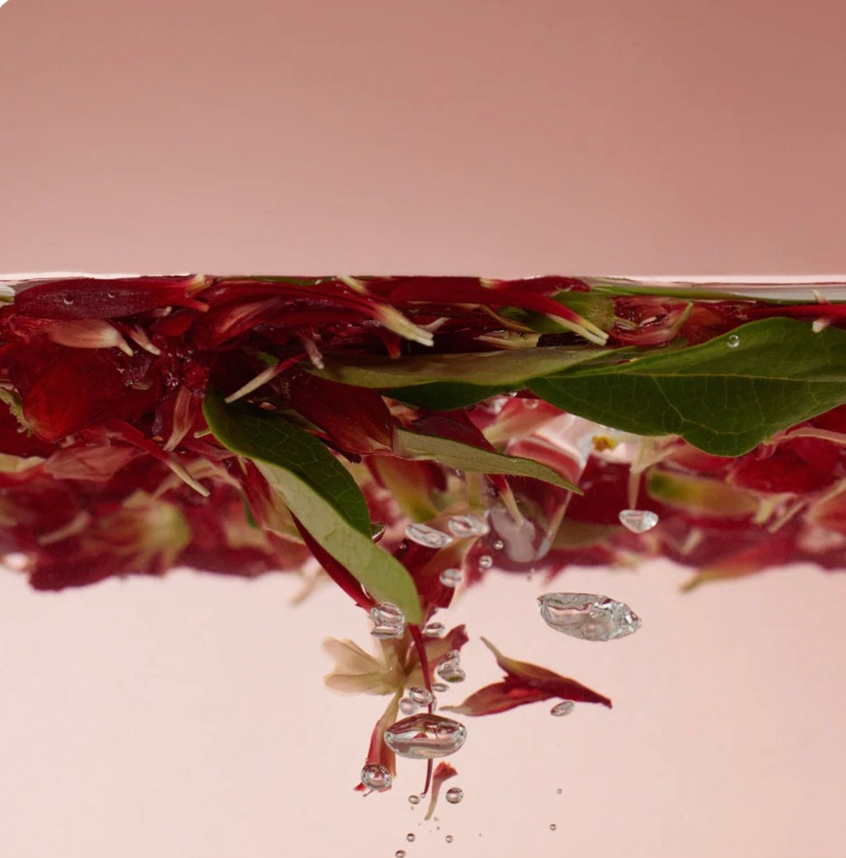 [K-beauty] Round LAB Camellia  DEEP COLLAGEN JELLY Mask CLEANSER 150ml