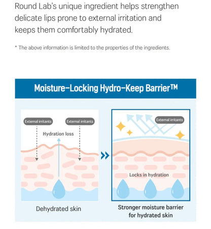 [K-beauty] Round LAB Birch Juice Moisturizing LIP BALM Set (+Bruch)