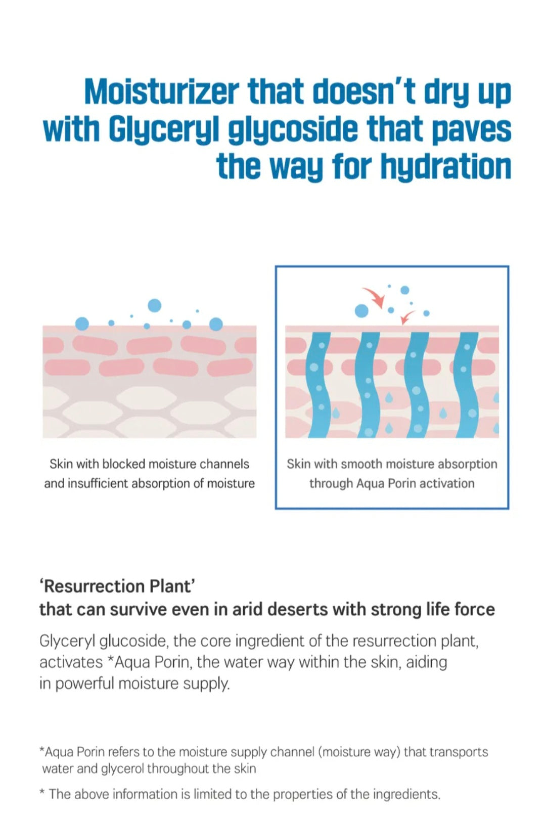 [K-beauty] Round LAB Birch Juice Moisturizing LIP BALM Set (+Bruch)