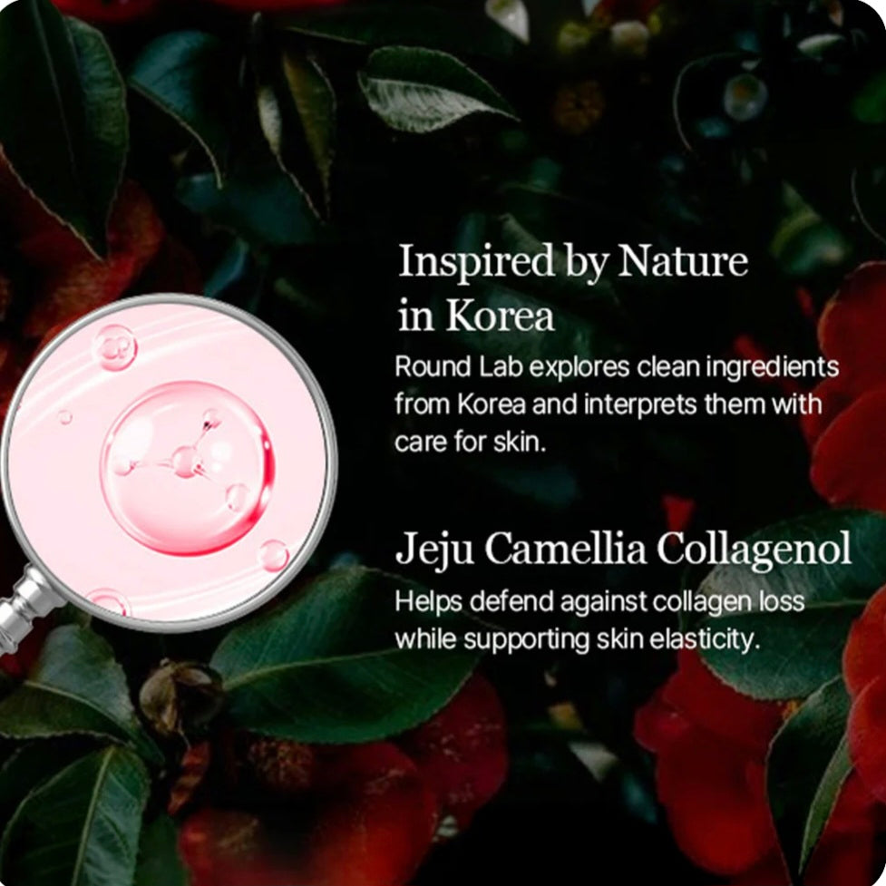 [K-beauty] Round LAB Camellia DEEP COLLAGEN PDRN Milky Toner 150ml