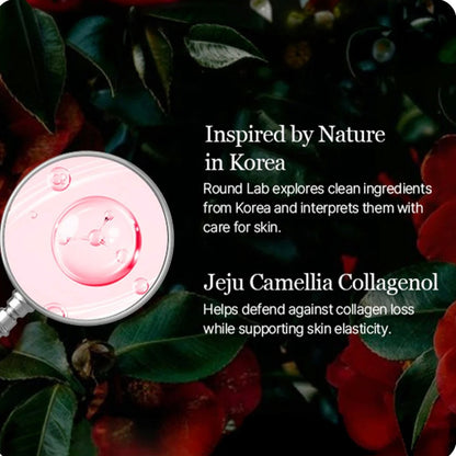 [K-beauty] Round LAB Camellia DEEP COLLAGEN PDRN Milky Toner 150ml