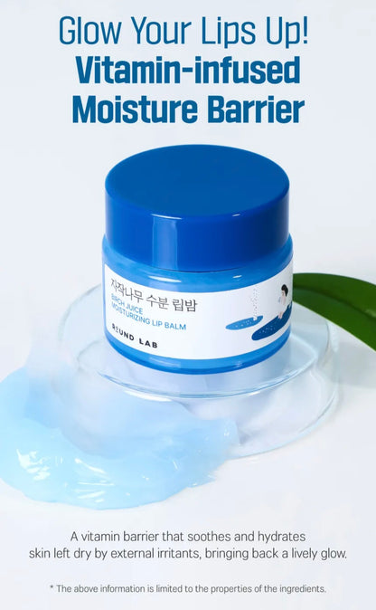 [K-beauty] Round LAB Birch Juice Moisturizing LIP BALM Set (+Bruch)