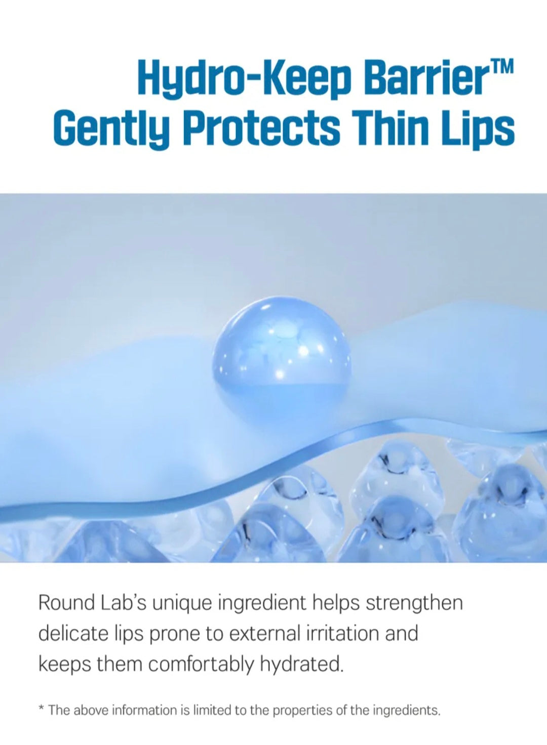 [K-beauty] Round LAB Birch Juice Moisturizing LIP BALM Set (+Bruch)