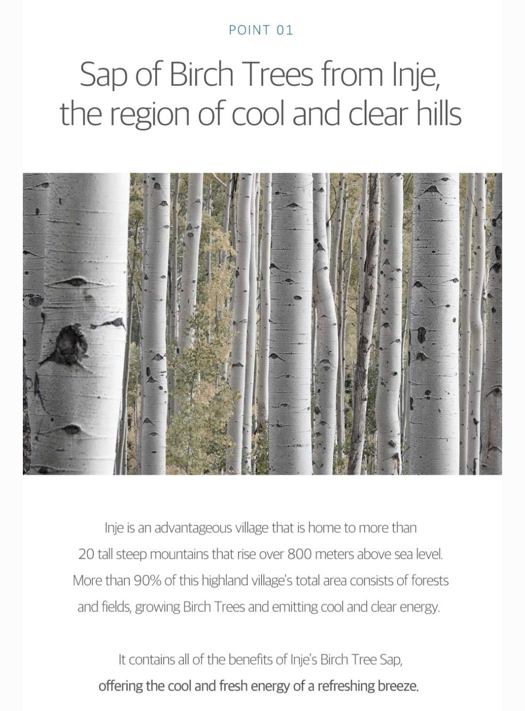 [K-beauty] Round LAB FOR MEN Birch Juice Moisturizing LOTION 200ml