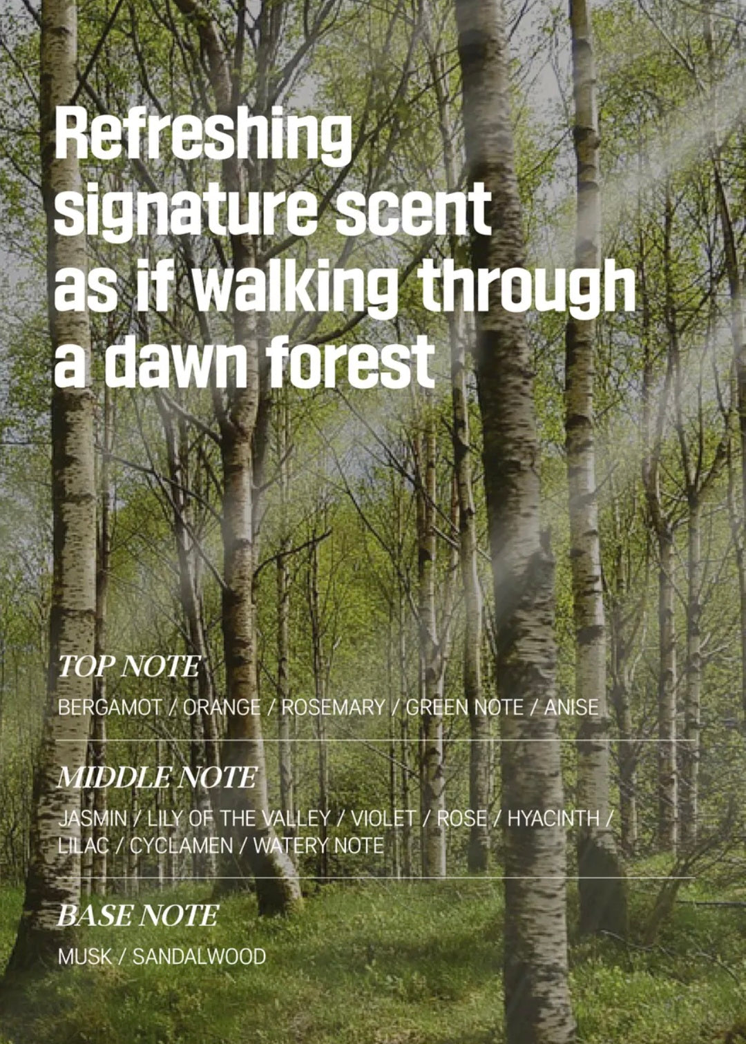 [K-beauty] Round LAB Birch Juice Hand cream