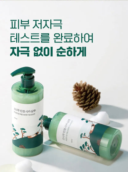 [K-beauty] Round LAB PINE CALMING CICA Shampoo 400ml