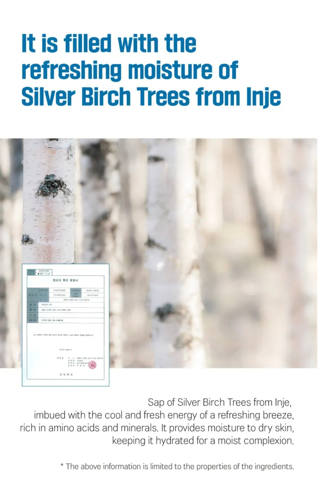 [K-beauty] Round LAB Birch Juice Moisturizing LIP BALM Set (+Bruch)