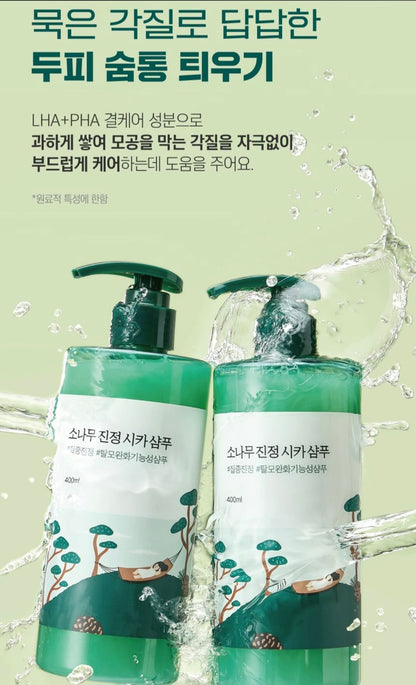 [K-beauty] Round LAB PINE CALMING CICA Shampoo 400ml