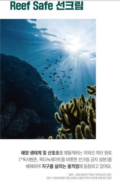 [K-beauty] Round LAB PINE CALMING CICA Sunscreen 40ml (SPF 50+/ PA++++)