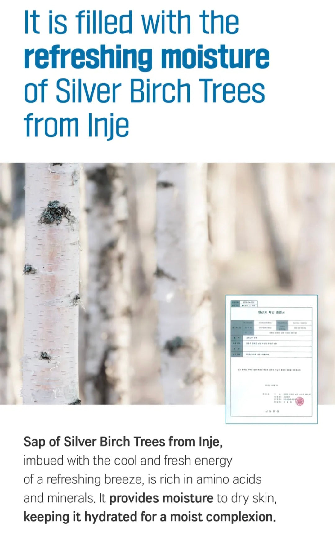 [K-beauty] Round LAB Birch Juice Hand cream