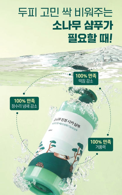 [K-beauty] Round LAB PINE CALMING CICA Shampoo 400ml