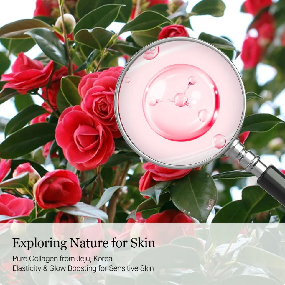 [K-beauty] Round LAB Camellia DEEP COLLAGEN PDRN Milky Toner 150ml