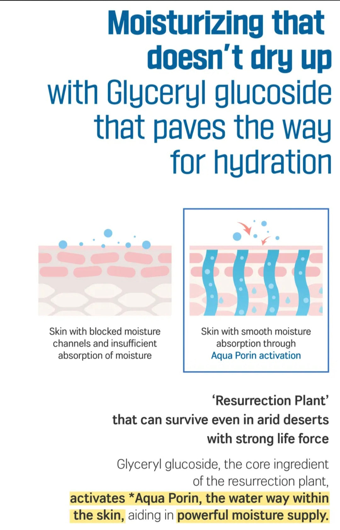 [K-beauty] Round LAB Birch Juice Hand cream