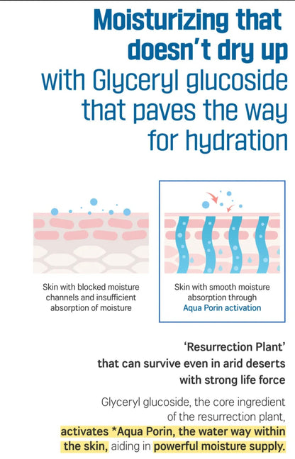 [K-beauty] Round LAB Birch Juice Hand cream