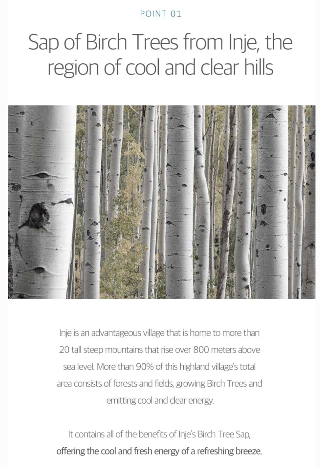 [K-beauty] Round LAB FOR MEN Birch Juice Moisturizing CREAM